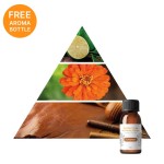 Difusor INN AROMA Powered by iS - iServices®