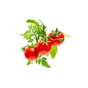 Mini Tomate Click and Grow