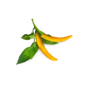 Malagueta Amarela Click and Grow