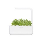 Agrião de Jardim num smart garden