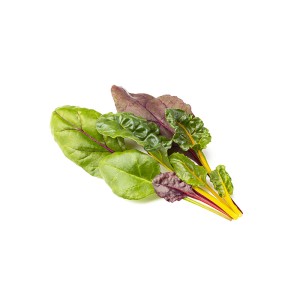 Acelga Multicolor Click and Grow