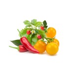 Espécies do Mix de Fruta e Vegetais Click and Grow