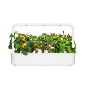 Mix de Fruta e Vegetais Click and Grow num Smart Garden