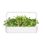 Mix para Saladas Click and Grow num Smart Garden